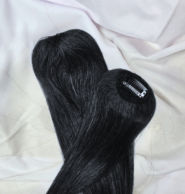 <h2>Clip-Ins</h2>